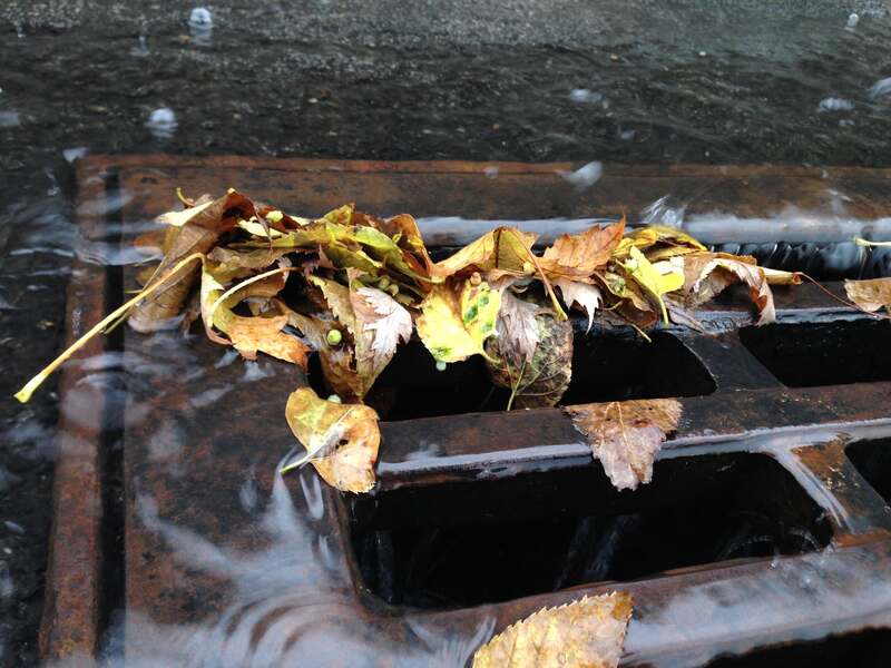leaves flowing with water into the drain