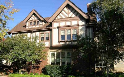 5 Best Grass Types for Detroit