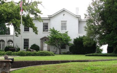 6 Best Grass Types for Knoxville