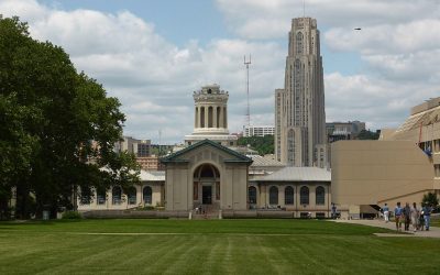 4 Best Grass Types for Pittsburgh