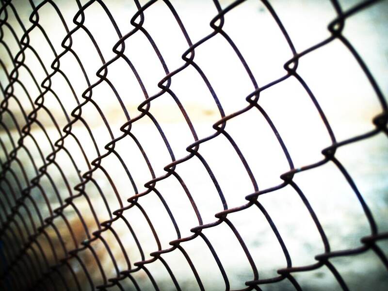 image of a metal chain link fence in a lawn