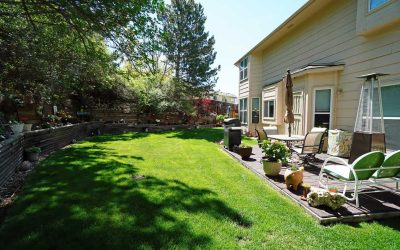 6 Best Grass Types for Colorado Springs