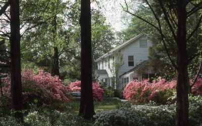 11 Best Native Plants for Columbia, SC