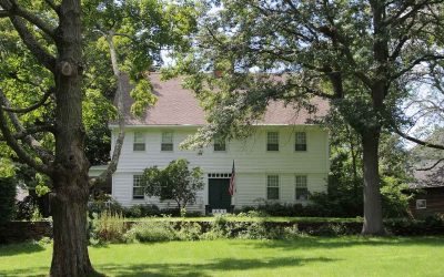 5 Best Grass Types for Hartford, Connecticut
