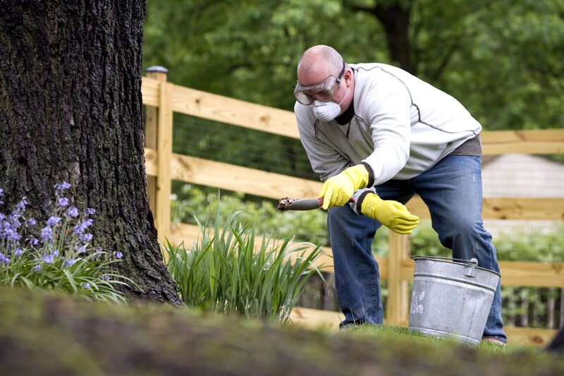 Man applying fertilizer to lawn