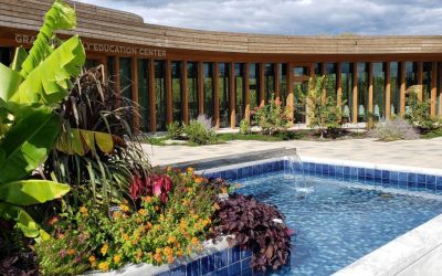 10 Low-Maintenance Landscaping Ideas for Louisville