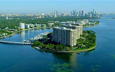 9 Hurricane-Resistant Landscaping Ideas for Miami