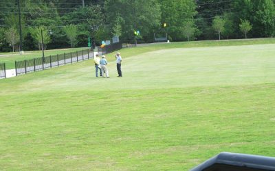 Best Grass Types for Marietta, GA