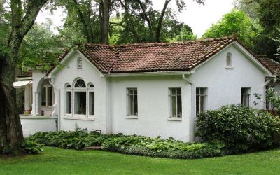 12 Spring Lawn Care Tips for Knoxville, TN