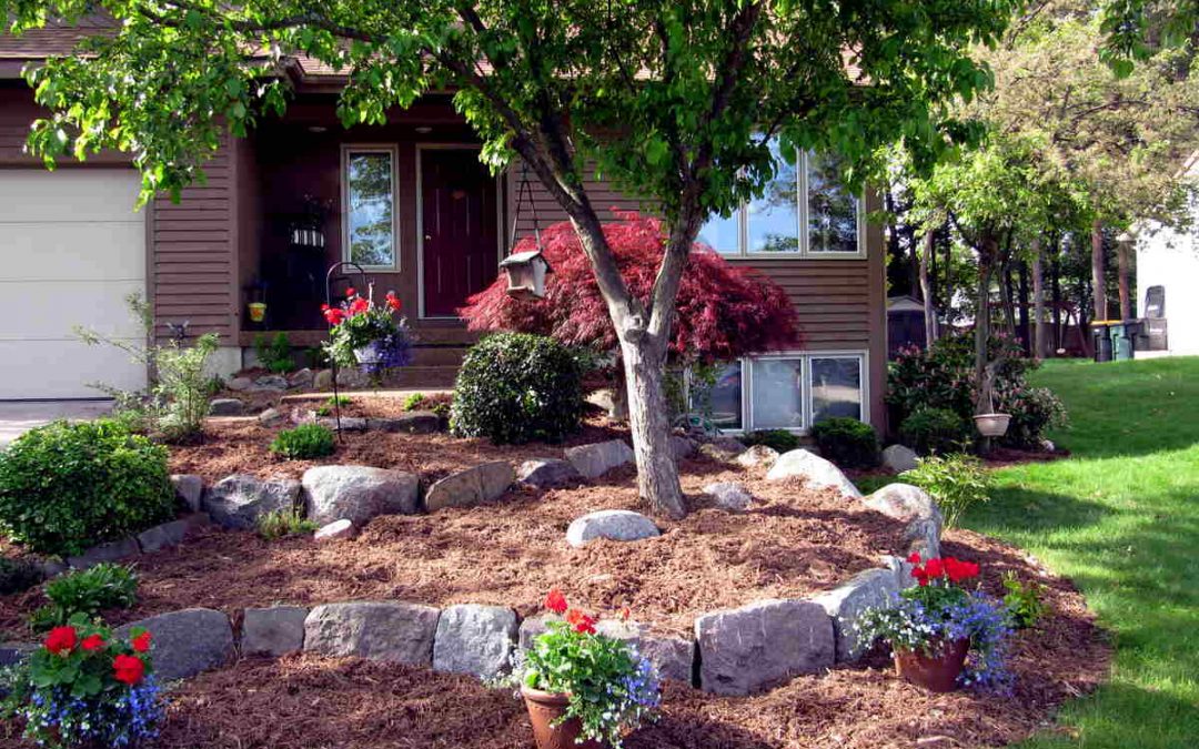 8 Low-Maintenance Landscaping Ideas for Dallas