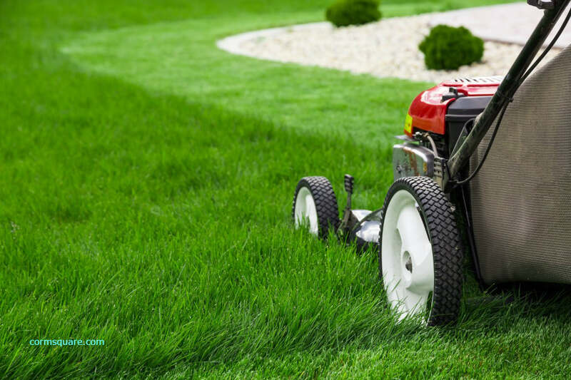 red colored lawn mower cutting grass in a lawn