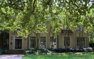 4 Best Grass Types for Baton Rouge