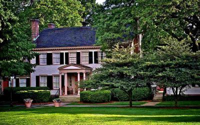 4 Best Grass Types For Dearborn, Michigan
