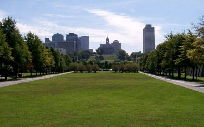 6 Best Grass Types for Nashville