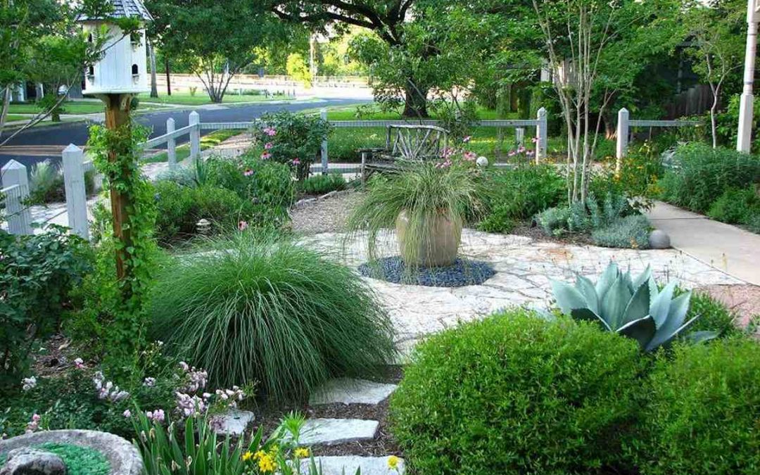 9 Low-Maintenance Landscaping Ideas for Austin, TX
