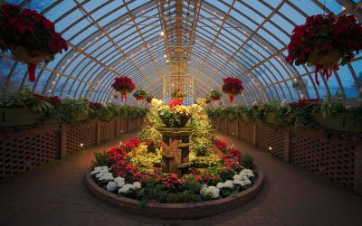 11 Best Native Plants for Pittsburgh