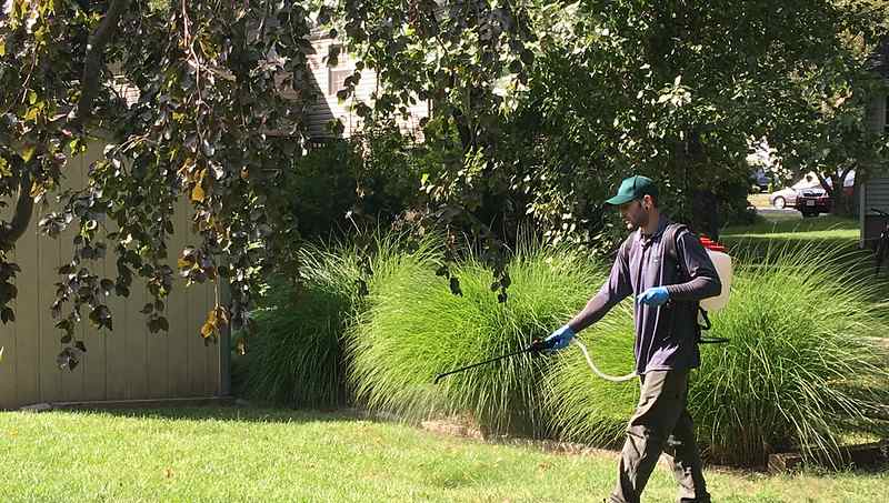 Man spraying lawn with pesticides
