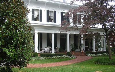 9 Best Native Plants for Louisville