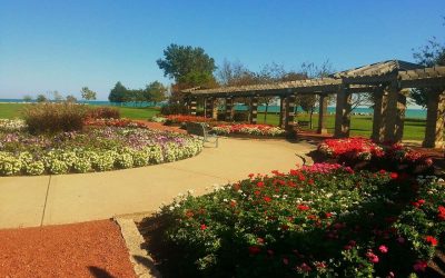 10 Best Native Plants for Kenosha, Wisconsin