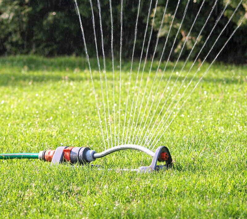 Small Water Sprinkler on green lawn