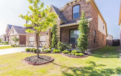 Best Grasses for Your Frisco Yard