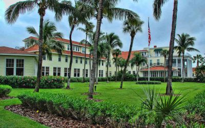 7 Best Grass Types for Florida