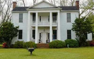 12 Spring Lawn Care Tips for Homeowners in North Georgia
