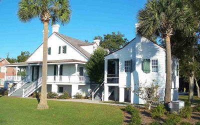 7 Best Grass Types for Pensacola, FL