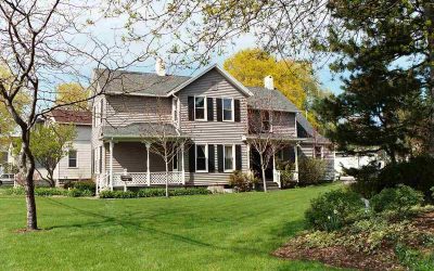 4 Best Grasses for Your Rochester, NY, Lawn