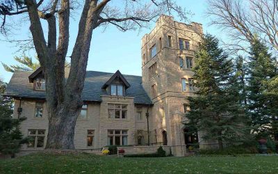 6 Best Grass Types for Rochester, Minnesota