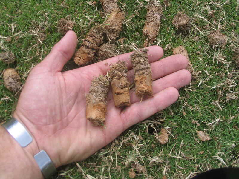 A picture showing a hand of a person who is aerating lawn