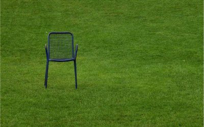 8 Best Grass Types for Virginia