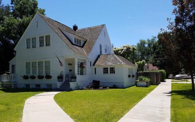 5 Best Grass Types for Idaho