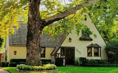 6 Best Grass Types for Sacramento, CA
