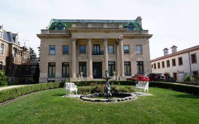 4 Best Grass Types for Milwaukee