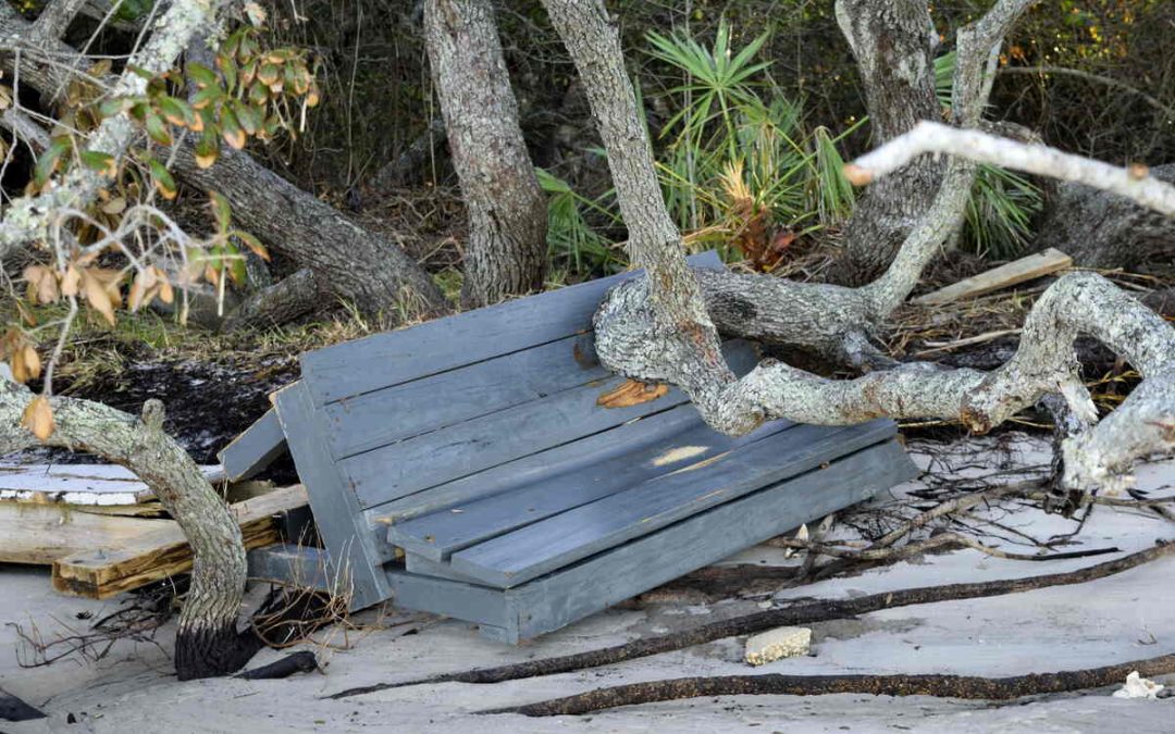 12 Hurricane-Resistant Landscaping Ideas for St. Augustine, FL