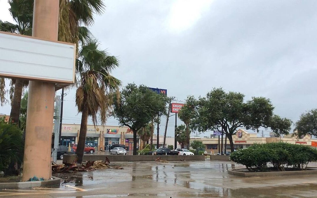 10 Hurricane-Resistant Landscaping Ideas for Corpus Christi, TX