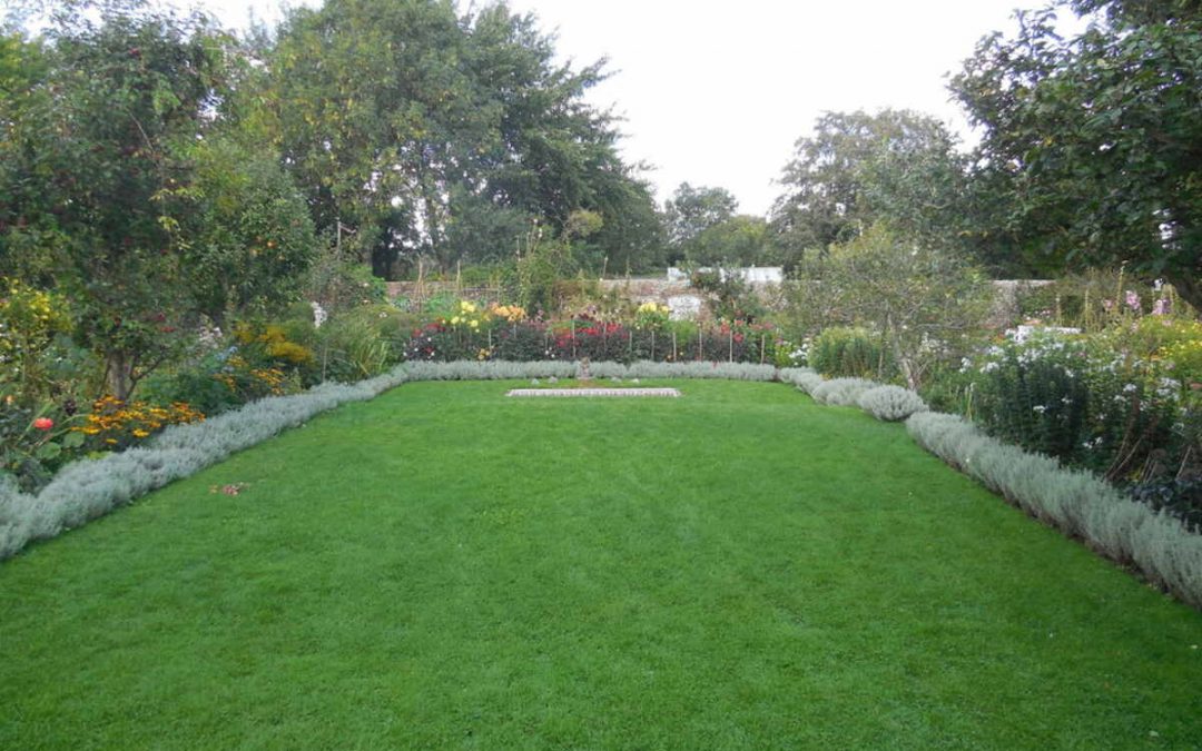 5 Best Grass Types for Charleston, SC