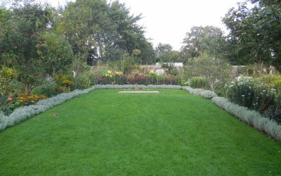5 Best Grass Types for Charleston, SC