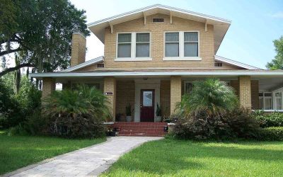 5 Best Grass Types for Lakeland, FL