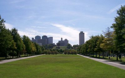The Best Grass for Your Tennessee Lawn