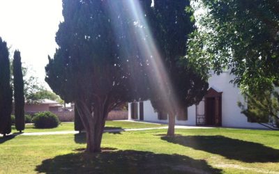 4 Best Grass Types for El Paso, TX