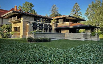 4 Best Grass Types for Grand Rapids, MI