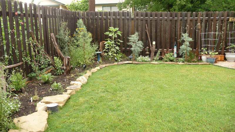 Garden in Texas with a lawn and xeriscaping on the side next to the wooden fence