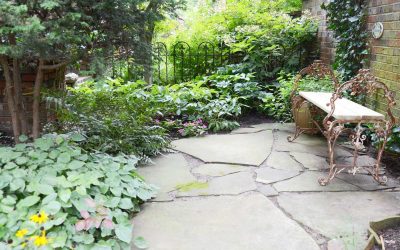 10 Best Native Plants for Nashville, TN