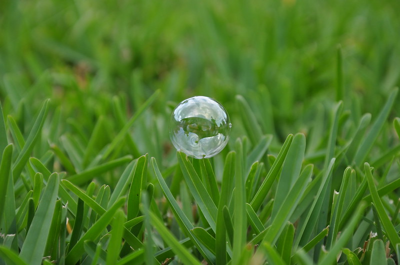 Bubble on green color grass
