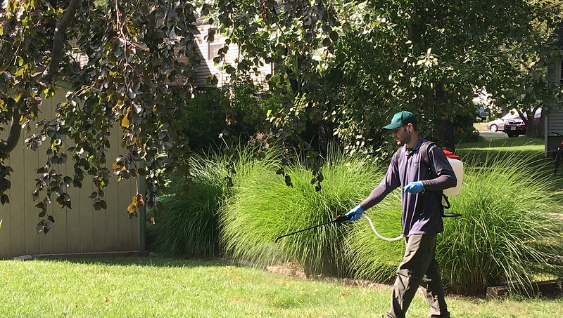 Man doing pest control spray on grass