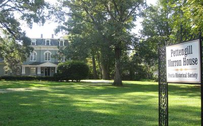Best Native Plants for Peoria, Il