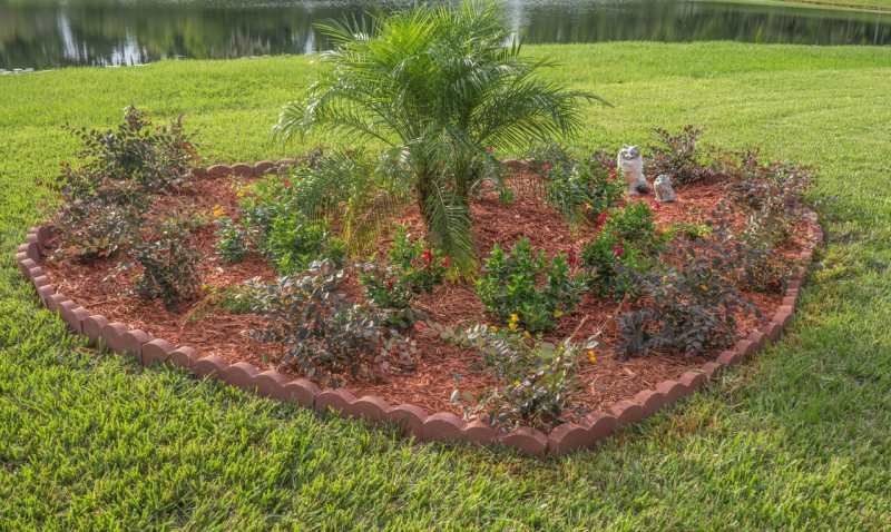 Plants in the middle of a lawn with mulch around them