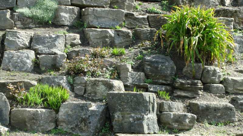 Rock garden with big stones and scattered plants